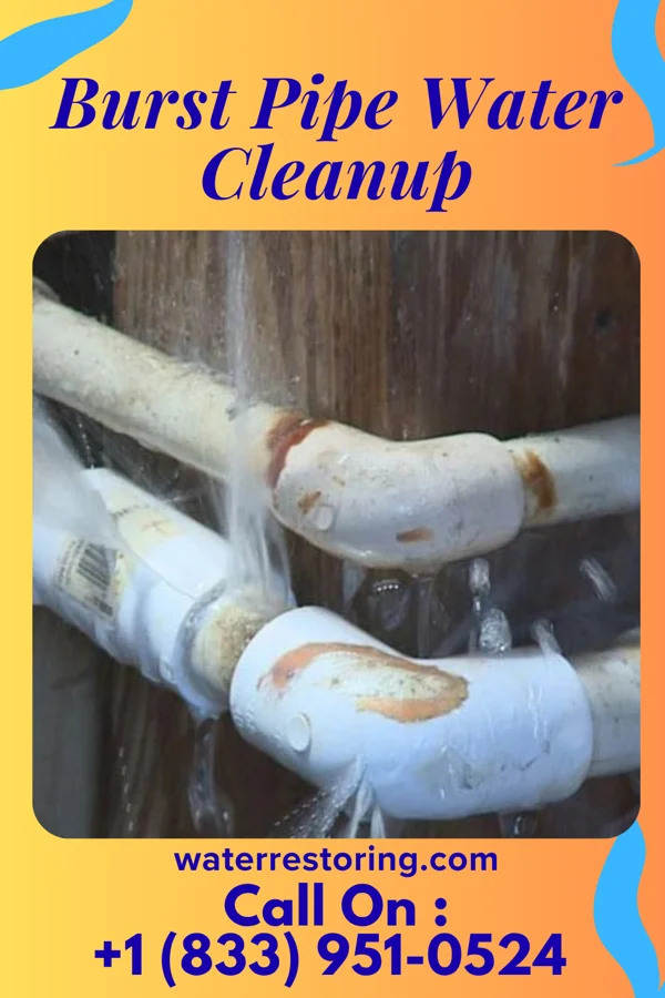 Burst Pipe Water Cleanup in Battle Ground, IN
