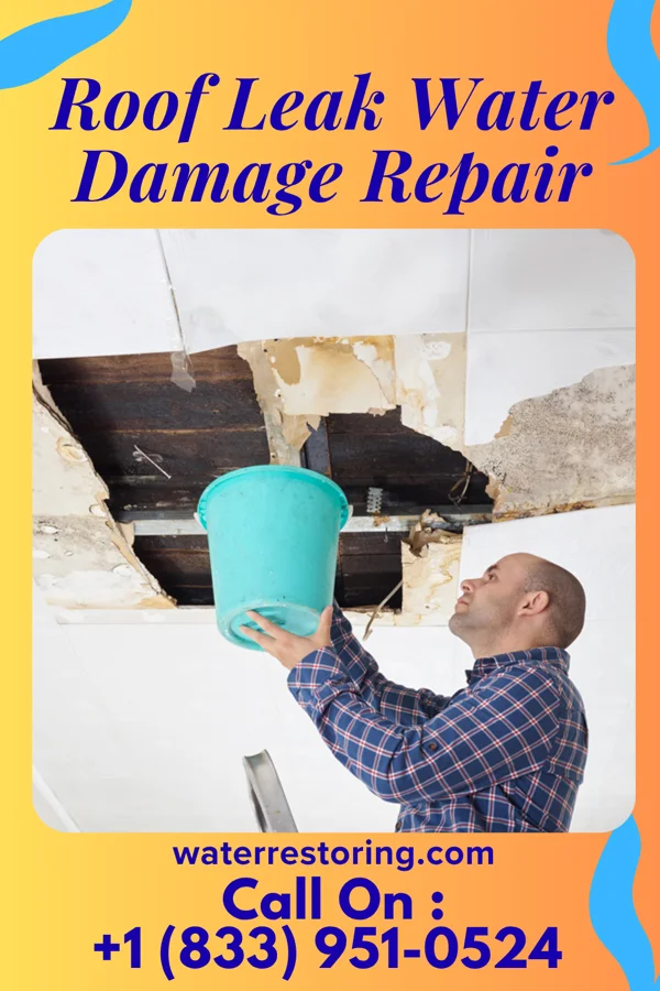 Roof Leak Water Damage Repair in Battle Ground, IN