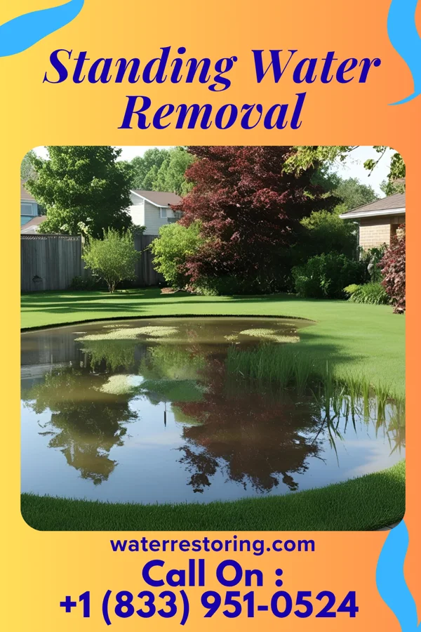 Standing Water Removal in Battle Ground, IN